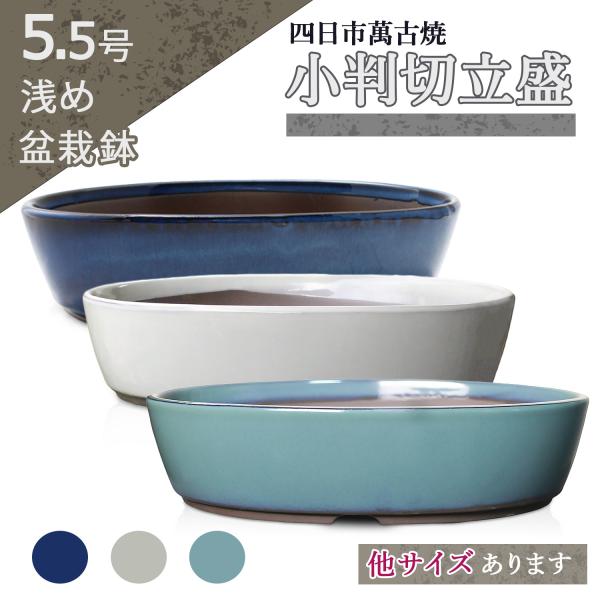 浅めで足元から縁にかけて広がるように立ち上がる鉢です。上から見た縁の形は小判型です。排水のために鉢裏には四箇所の切り欠きが設けられ、十分な大きさの2つの排水穴とともに用土の健康的な乾きに貢献します。根鉢を浅くなるため樹が本格的になり、見栄え...