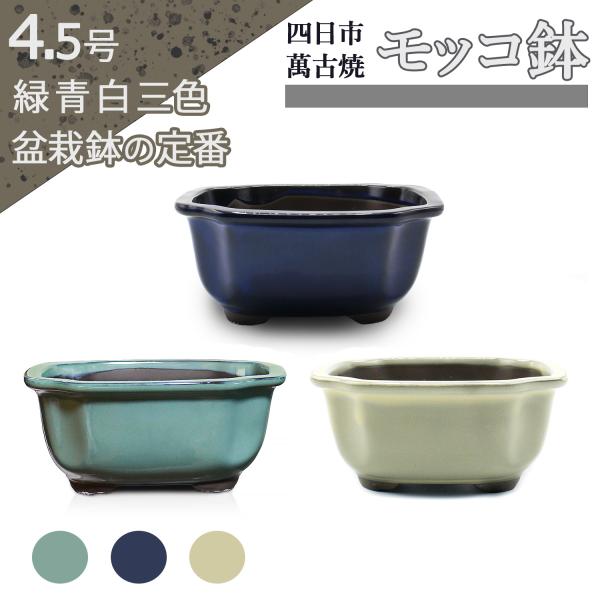 釉薬のつややかな感じが美しい伝統的な形状の鉢です。上から見た縁の形は、モッコ（木瓜）です。縁は張り出しており、持ち運びしやすくなっています。排水穴は2ヶ所あり、また足についても十分な高さがあり、用土の健康的な乾きに貢献します。盆栽はもちろん...