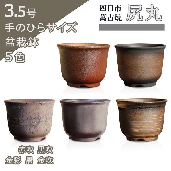 umekichi_sima-banko umekichi_sima-banko
