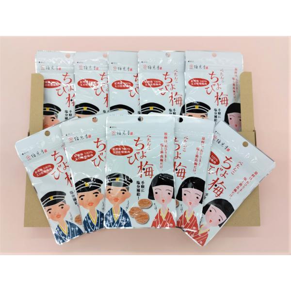 大好評 「ぺたんこ ちょび梅（10袋セット）」 天日乾燥 梅干し 南高梅 梅肉 熱中症 塩分補給 スポーツ 紀州梅干 梅見月