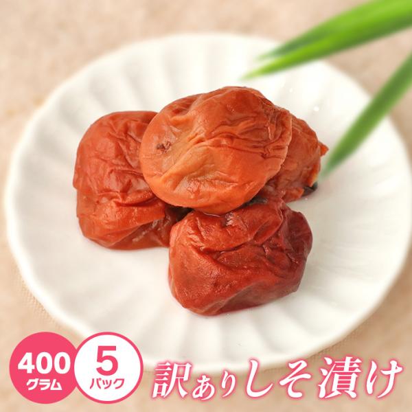  󂠂 ~ Ђ ~ 400g×5 嗱 A e 썂~ ~ ~ ߂ڂ IB썂~ Ԃ~ Y a̎RY  ٓ