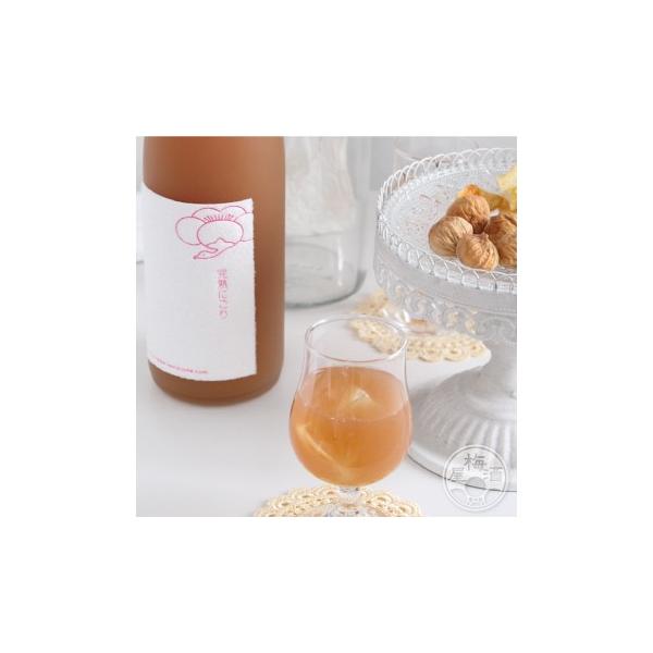 ߔ~`nɂ` 720ml a𑢁^a̎R ~ IB ɂ Mtg ɂ~ 10x  Ε 