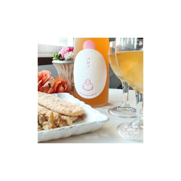 ׂтߔ~ mAR[ 720ml a𑢁^a̎R 0.00x ~ mA~ ~W[Xp Mtg 