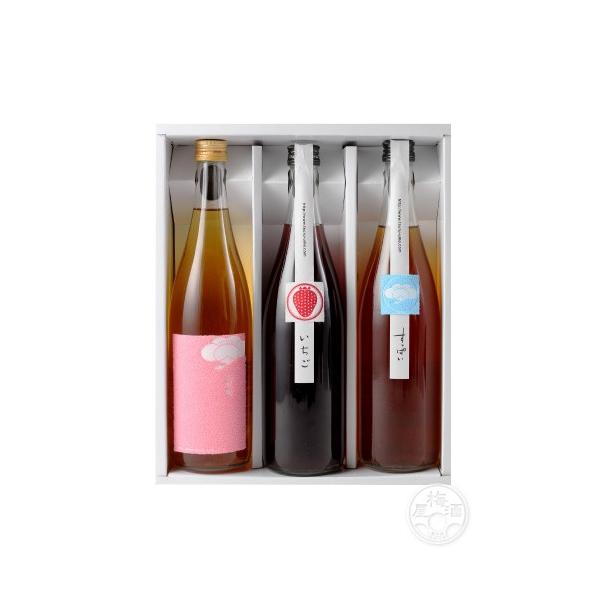 ߔ~Mtg n//ς 720ml×3 ~G ua𑢁v  Mtg^yY^j^zCgf[