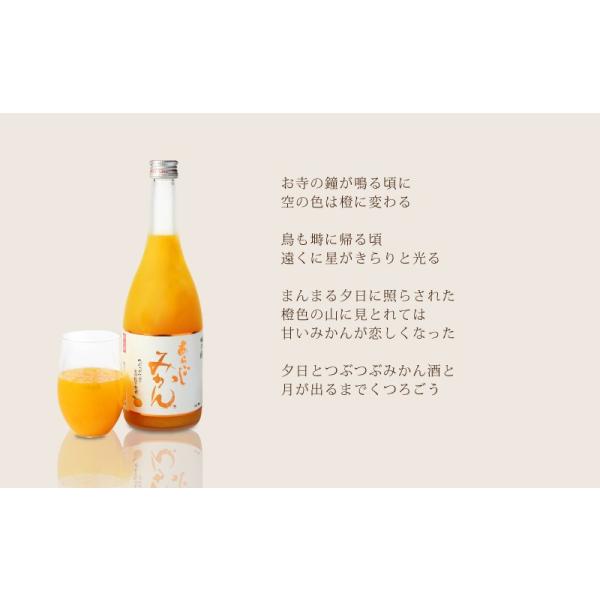 あらごしみかん1800ml 梅乃宿酒造 奈良 Buyee Buyee 提供一站式最全面最專業現地yahoo Japan拍賣代bid代拍代購服務bot Online