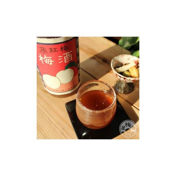 g~ ɂ~ 720ml ug~𑢁^Odv
