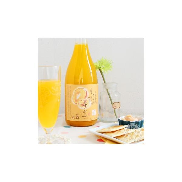 q }S[ 720ml u|̐𑢁^R`v