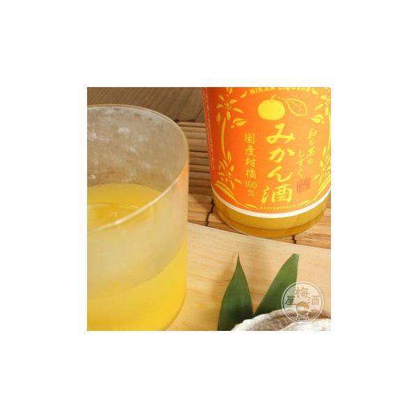 TI ảʂ̂ ݂ 500ml 핽X^ꌧ