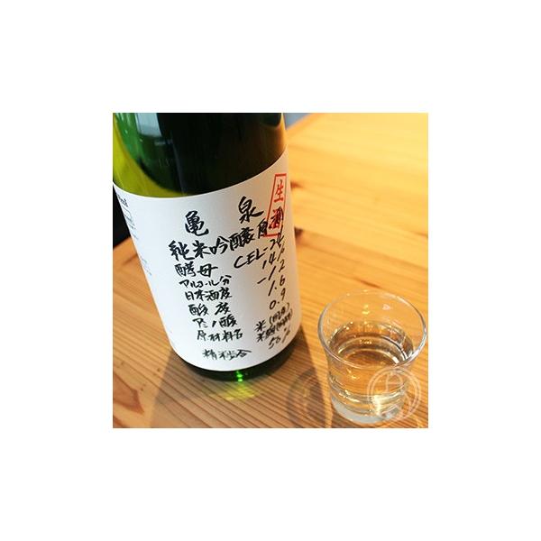 T ċ CEL-24 720ml T𑢁^m { 14x v① Mtg v[gull3{܂Łv