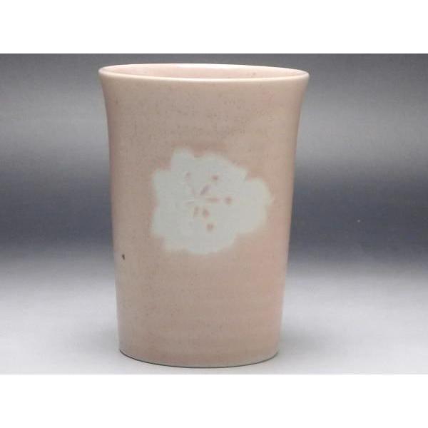 yaizsN@t[Jbv@[ig̐H]