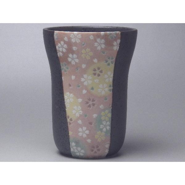 yaiz߂isNj{с@ەt[JbviiɁAG̃p^[͈قȂ܂Bj@[ig̐H]