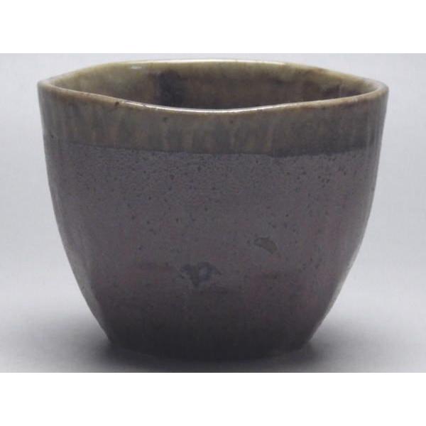 yaizD@킬(ӂWU)@[ig̐H]