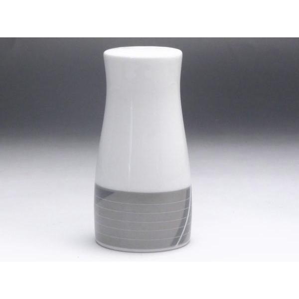 yaizXgCviO[^j@EӞiVj