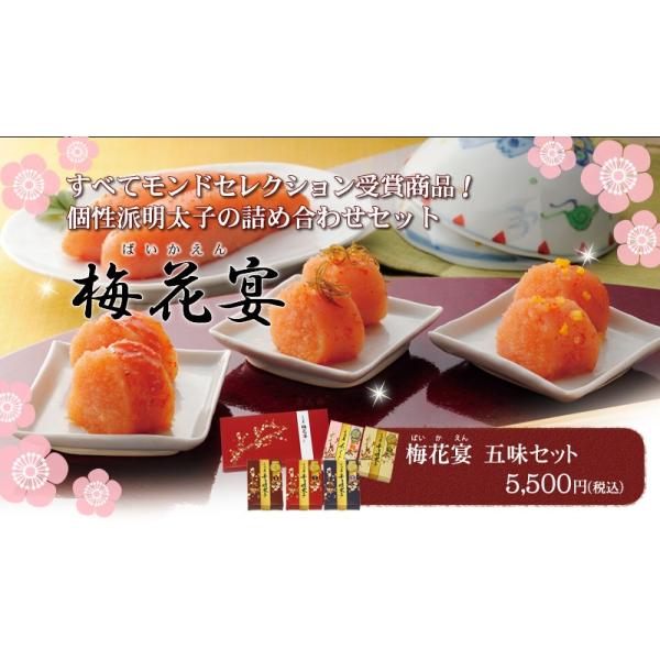 ߉ @q@F {@hZNV܁@lߍ킹@~ԉOZbg(100g×5)@IׂMtg