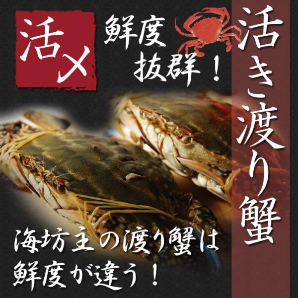 送料無料 活きワタリガニ 瀬戸内海産 ワタリガニ オス 一匹 渡り蟹 かに カニ ガザミ 大 約500g 700g ギフト お中元 お歳暮 母の日 父の日 Buyee Buyee 日本の通販商品 オークションの代理入札 代理購入