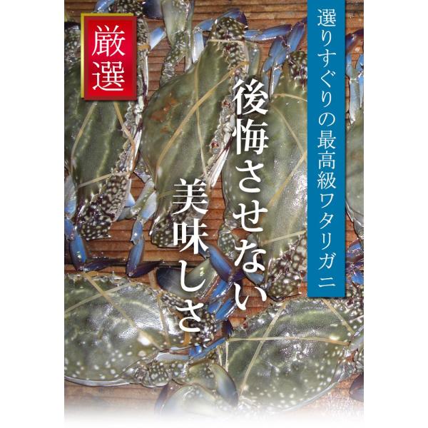 送料無料 活きワタリガニ 瀬戸内海産 ワタリガニ オス 一匹 渡り蟹 かに カニ ガザミ 大 約500g 700g ギフト お中元 お歳暮 母の日 父の日 Buyee Buyee 日本の通販商品 オークションの代理入札 代理購入