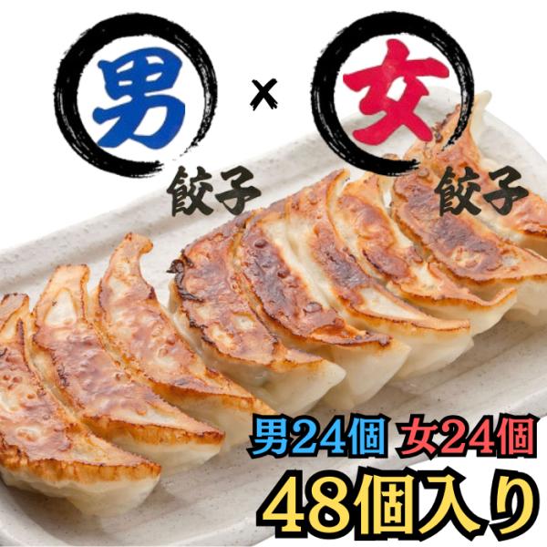 餃子 キムチ餃子14個入（1パック／2パック） | 餃子 長ちゃん工房