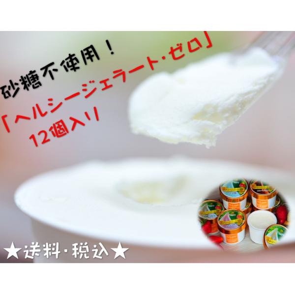 ご当地グルメ お取り寄せスイーツ ご贈答 プレゼント お祝 景品 手作り アイスクリーム  高知県 ドルチェかがみ ヘルシージェラート・ゼロ 12個入 送料込