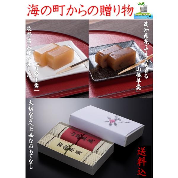お取り寄せグルメ ご贈答 お供え お祝 プレゼント ご進物 ようかん 和菓子 福留菊水堂 山桃羊羹と百合羊羹 ご贈答セット(大) 各1本入 送料込