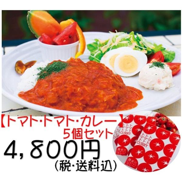 ご当地グルメ ご贈答 プレゼント お取り寄せグルメ フルーツトマト フルティカ 野菜 レトルト カレーライス 無添加 高知県 南国市 トマトカレー５個（送料込）