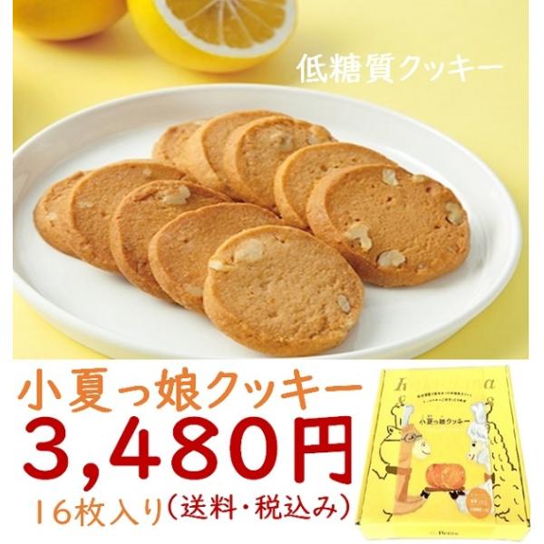 ご当地 お取り寄せ ご贈答 プレゼント 手土産 スイーツ クッキー 小夏 低カロリー くるみ 「小夏っ娘クッキー」16枚(送料・税込)