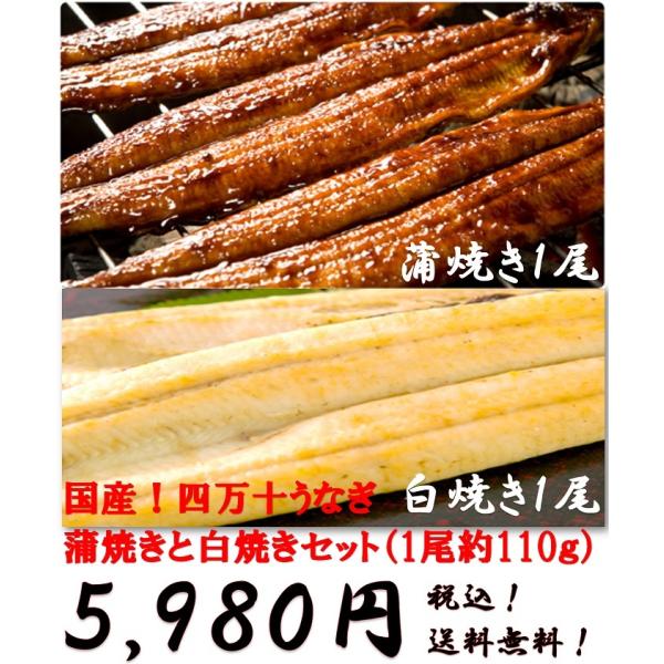 お取り寄せ 鰻 人気 かば焼き 高知県 清流四万十川 スタミナ 国産 四万十うなぎ 蒲焼きと白焼きセット(約1尾110ｇ)各1尾 ご自宅 送料無料
