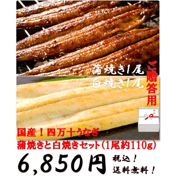 お取り寄せグルメ 鰻 人気 かば焼き 清流四万十川 スタミナ 国産 四万十うなぎ　蒲焼きと白焼きセット（約1尾110ｇ）各1尾 ご贈答 送料無料
