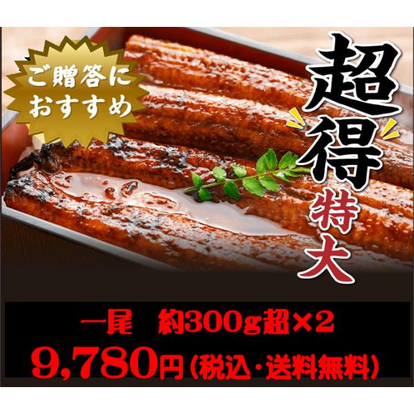 大満足！食べ応えあり「スーパージャンボ四万十うなぎ２尾入り」ご自宅用！自然豊かな高知県四万十町“四万十うなぎ株式会社”の創業以来40年間、徹底した生産管理で養殖しているうなぎです。豊富できれいな地下水を使って育てたうなぎは、身が柔らかく、ほ...