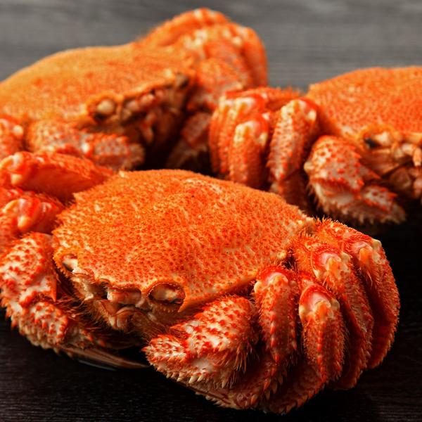 уKj kCY ɏ ōN {Cς VR ъI 550g×2   Mtg