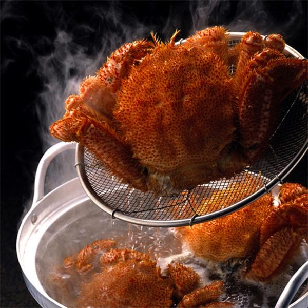 北海道産★ボイル冷凍毛蟹(約450g)★蟹味噌タップリ★毛ガニ・蟹の甲羅焼き 北海道産☆ボイル冷凍特大毛蟹(約600g)☆蟹味噌タップリ☆毛ガニ・蟹