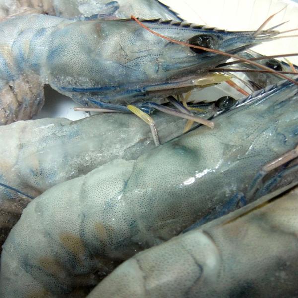 天使の海老の通販 価格比較 価格 Com