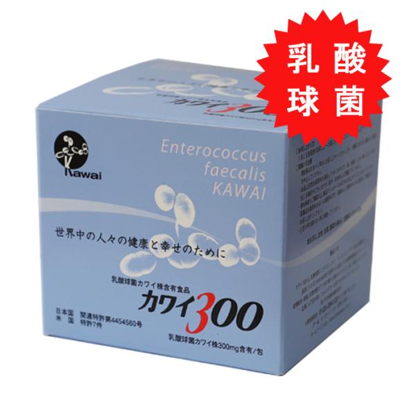 カワイ300 乳酸球菌 カワイ株 （１００包入り） 正規代理店