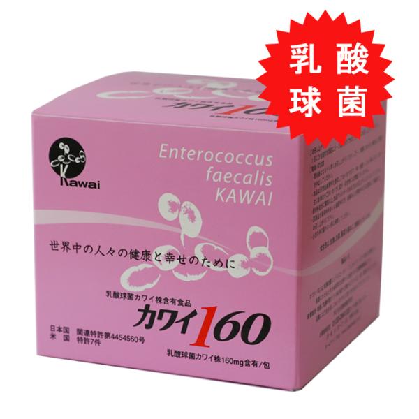カワイ160 乳酸球菌 カワイ株 （１００包入り） 正規代理店