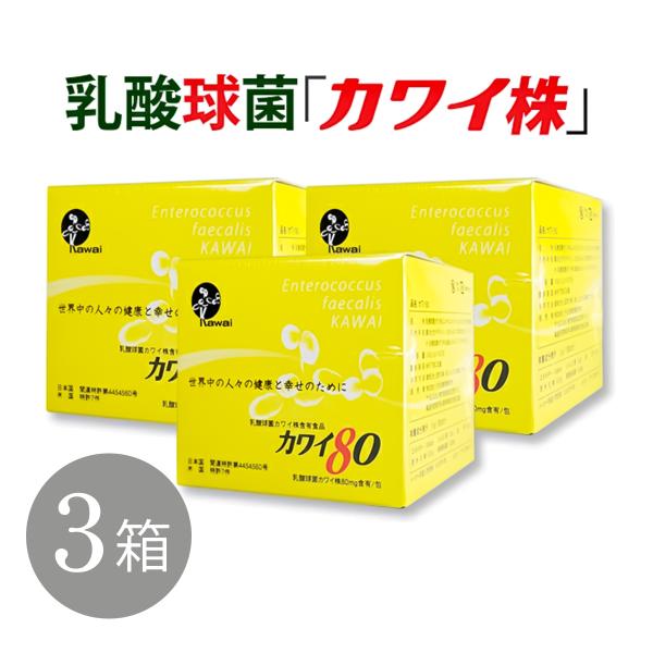 カワイ80 乳酸球菌カワイ株 （１００包入り）3箱セット 正規代理店