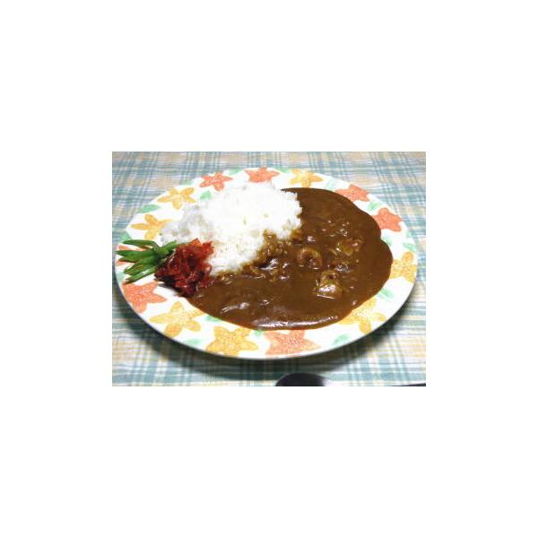 （5箱セット）味の海翁堂 にんにくカレー 青森田子産にんにく使用 180g（箱入、1人前）×5箱（まとめ買い・詰め合わせ）レトルト ベジタブルカレー 野菜カレー ニンニク 大蒜 東北 青森ご当地カレー