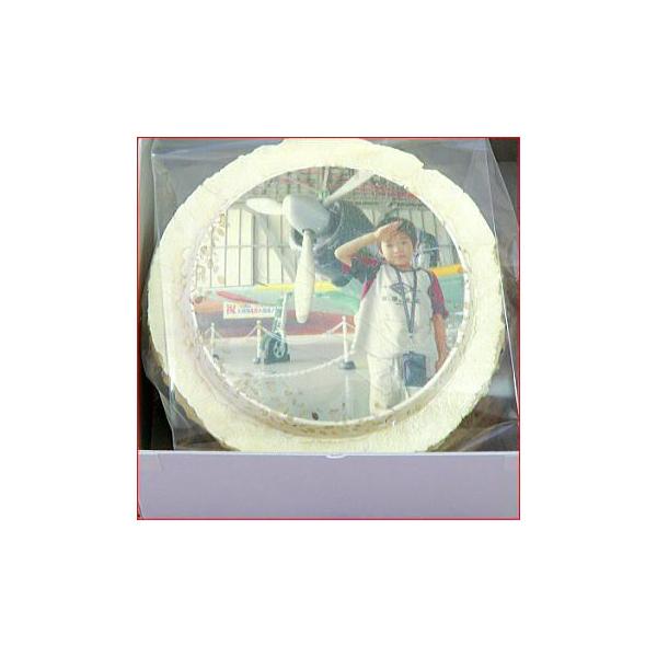 jMtg-IWi낤 vg암ׂ MtgS7 퉷z p