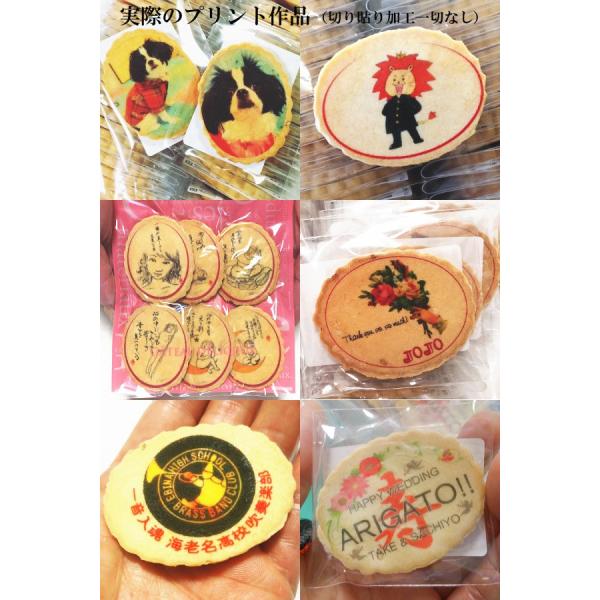 プリント小判せんべい10枚セット オリジナル写真やイラストを塩バターせんべいに印刷 Buyee Buyee Japanese Proxy Service Buy From Japan Bot Online