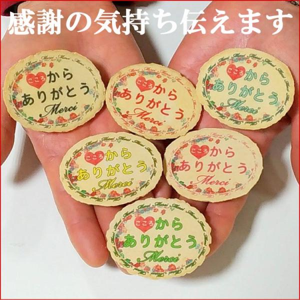 お祝いギフト-メルシーせんべい小判ピロ個装  ありがとう 感謝 お世話になりました サンキュー 商品補償あり 父の日 お祝い プチギフト 個包装 小分け 送別