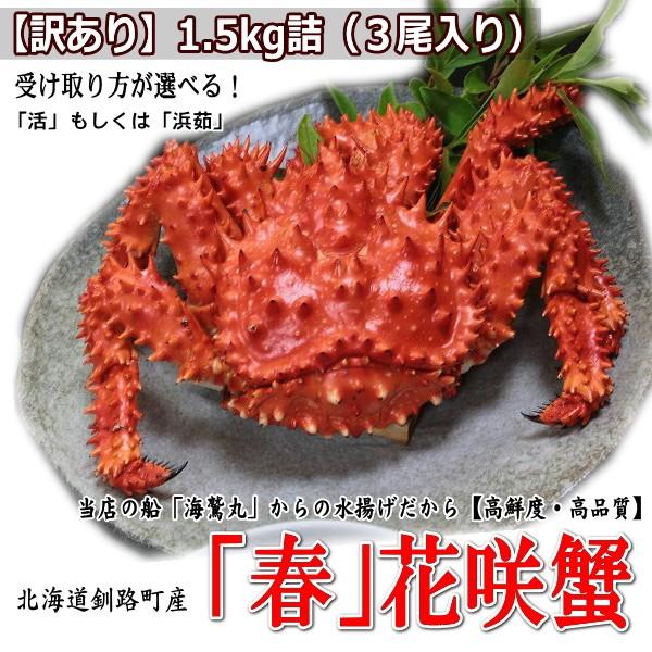 訳あり 花咲ガニ 2 0kg詰 オス3杯以上 浜茹 ボイル済 急速冷凍 Www Nlqp Com