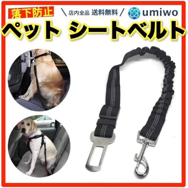 犬 リード 黒 その他犬用ペットグッズの人気商品 通販 価格比較 価格 Com