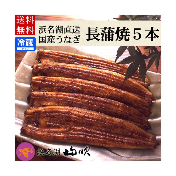 ギフト プレゼント 国産うなぎ ふっくらうなぎ長蒲焼き5人前 送料無料