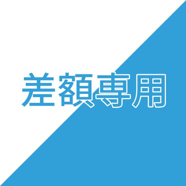 差額専用