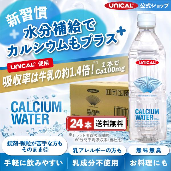 【公式ストア】【送料無料】CALCIUM WATER（カルシウム ウォーター）【1箱 500ml×24本】ペットボトル 清涼飲料水 水