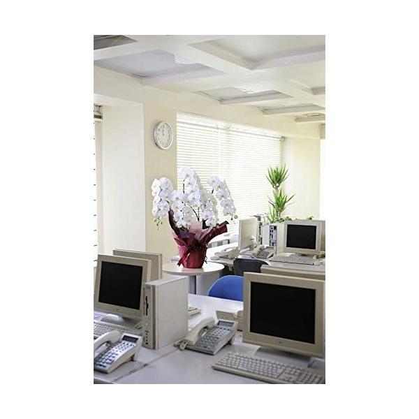 胡蝶蘭5本立 白 開店祝い 3万円コース 台紙がオレンジ色の電報 祝電付き 開店祝い 開業祝い 移転祝い 当選祝い 就任祝い 当選祝い 3万円コース フラワーギフトの胡蝶蘭 003 ユニコーンストア