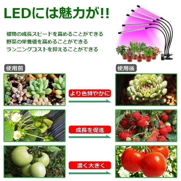 unicornshop_227005_4