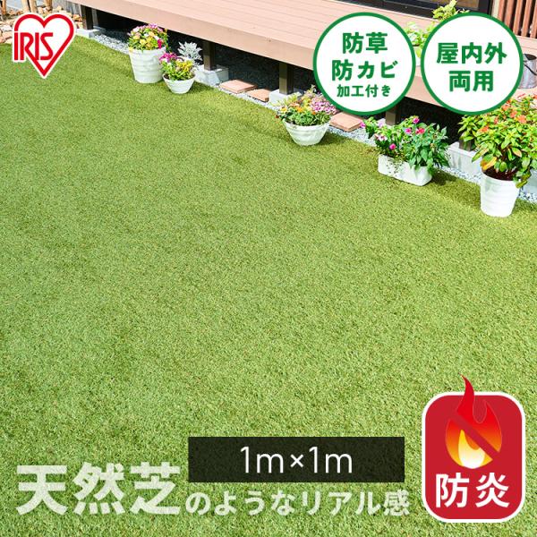 （検索用：人工芝 1m×1m ロール 防炎 芝生 防草 防カビ加工付 庭 ベランダ DIY ペット 幼稚園 保育園 施設 防炎防草人工芝 アイリスオーヤマ 4967576825009）●翌日優良配送対象商品につきまして●下記の場合は対象外と...