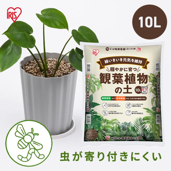 IRIS OHYAMA（アイリスオーヤマ） 観葉植物 多肉植物 土 10L 園芸 培養