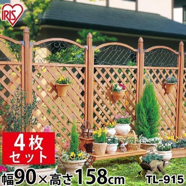 ただいま半額です！！ 40本 6級品 姶良市まで送料込みガーデニング 庭づくり unidy-y_1518210