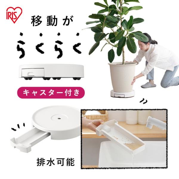 （検索用：鉢置き キャスター付き 10号 鉢台 植木鉢台 排水トレー付き プラントムーバー 植木鉢トレー 鉢皿 プランター台 プランタースタンド フラワースタンド 観葉植物 おしゃれ 4967576694681）