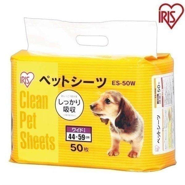 PgybgV[c ChTCY 50 ACXI[}